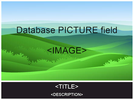 Example database picture field