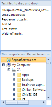 Selecting a RepeatServer file